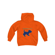 Load image into Gallery viewer, Youth Hooded Sweatshirt