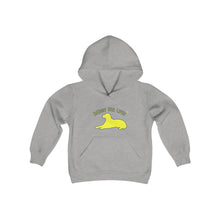 Load image into Gallery viewer, Youth Hooded Sweatshirt