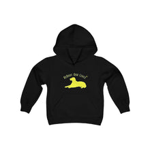 Load image into Gallery viewer, Youth Hooded Sweatshirt