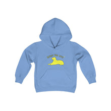 Load image into Gallery viewer, Youth Hooded Sweatshirt