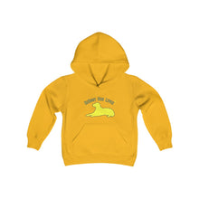 Load image into Gallery viewer, Youth Hooded Sweatshirt