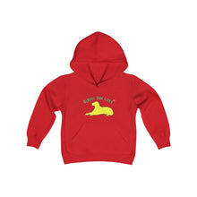 Load image into Gallery viewer, Youth Hooded Sweatshirt