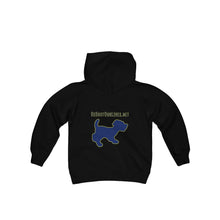 Load image into Gallery viewer, Youth Hooded Sweatshirt