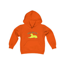 Load image into Gallery viewer, Youth Hooded Sweatshirt
