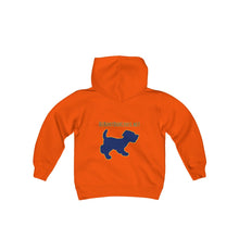 Load image into Gallery viewer, Youth Hooded Sweatshirt
